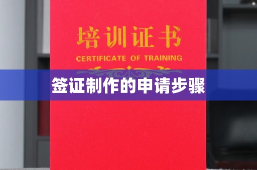 奉新签证制作的申请步骤